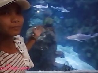 �������� ������� �� ���� ������� �� ����